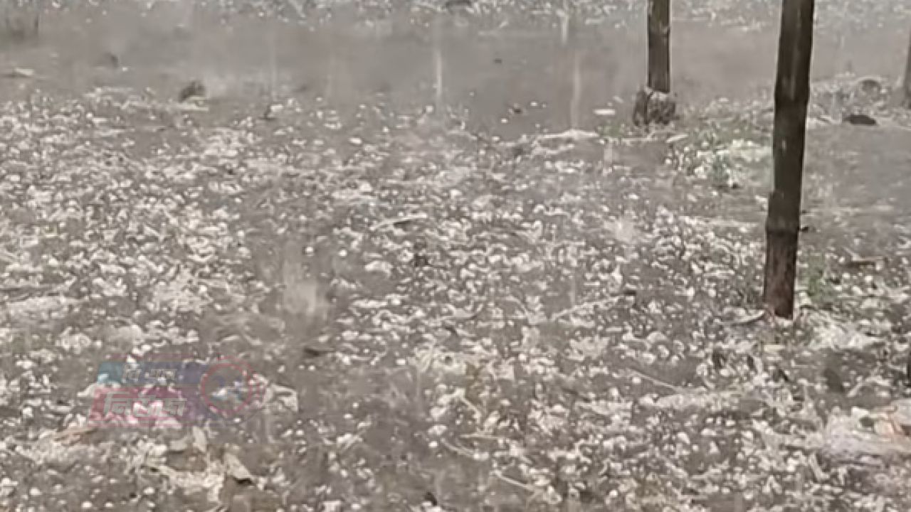 দেশের বিভিন্ন স্থানে আকস্মিক শিলাবৃষ্টি, ফসলের ব্যাপক ক্ষতি দিশেহারা কৃষকরা