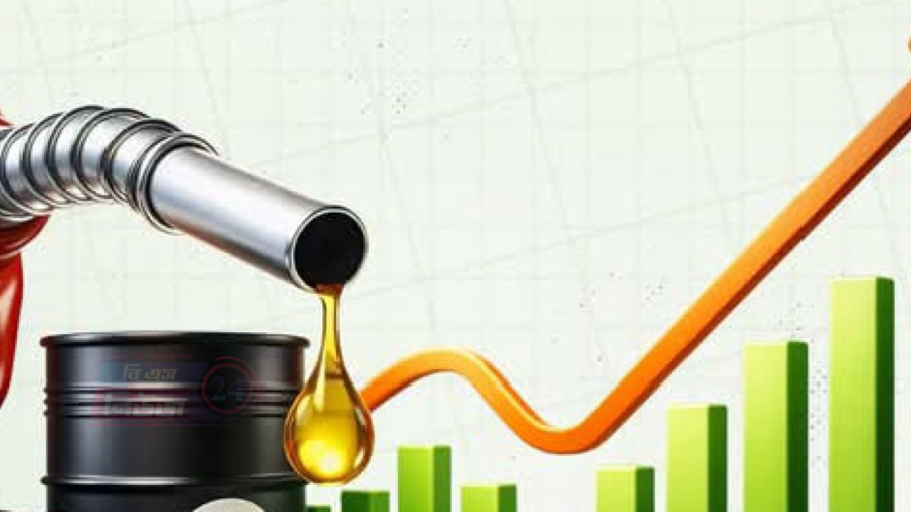 জ্বালানি তেলের মূল্যবৃদ্ধি একলাফে লিটারে ২০ টাকা, এ কেমন দেশ  