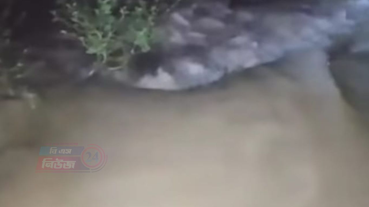 হঠাৎ বেড়েছে মুহুরী নদীর পানি ফুলগাজীর মনিপুর গ্রামসহ আশেপাশের এলাকা প্লাবিত হওয়ার আশঙ্কা